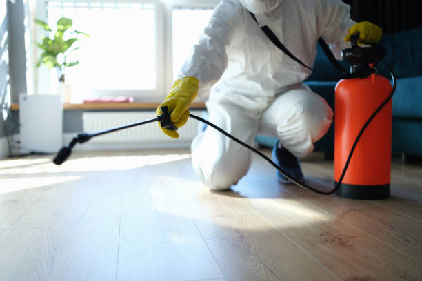 Trusted Trauma Scene Cleanup service in Pebble Beach, CA - Four Month Blood Cleanse